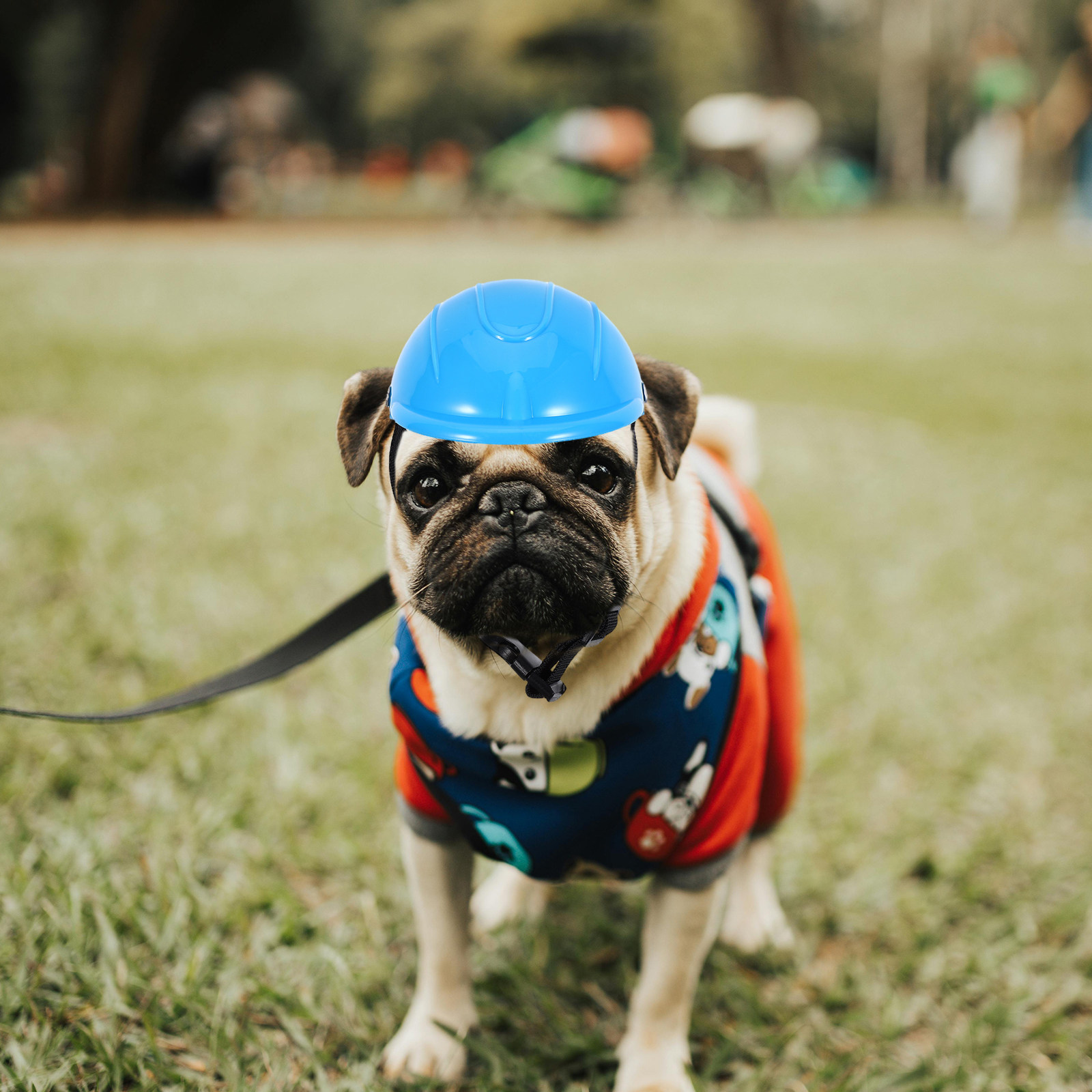 Motorcycle Gear For Dogs - Small Dog Adjustable Pet Motorcycle Protective