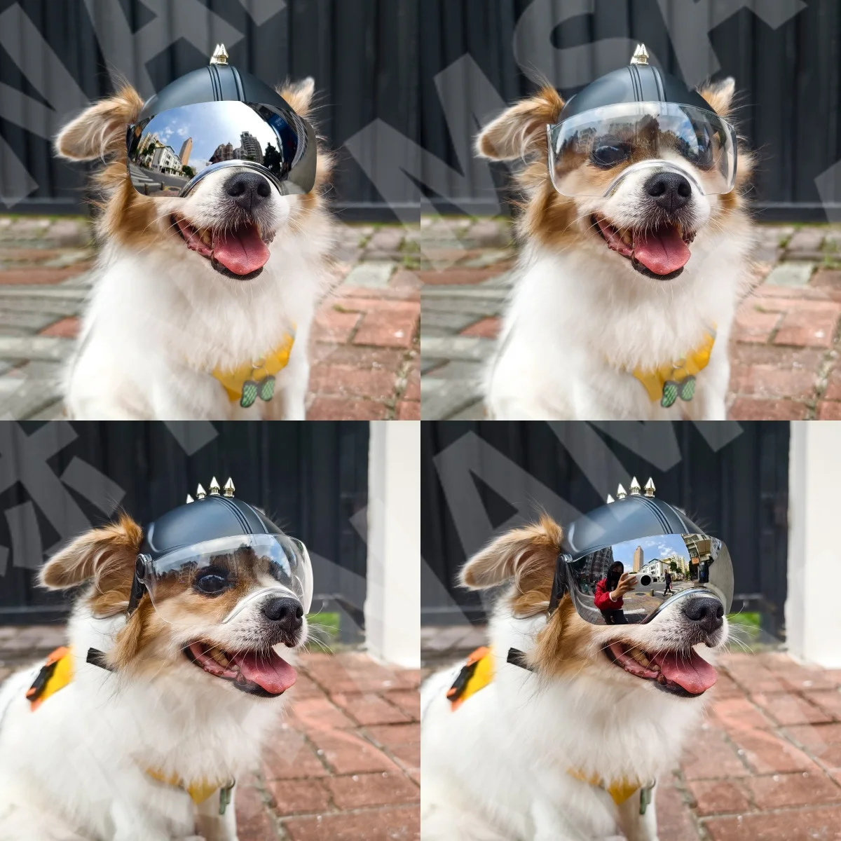 2-in-1 Dog Motorcycle Helmet & - Motorcycle Gear For Dogs review and price