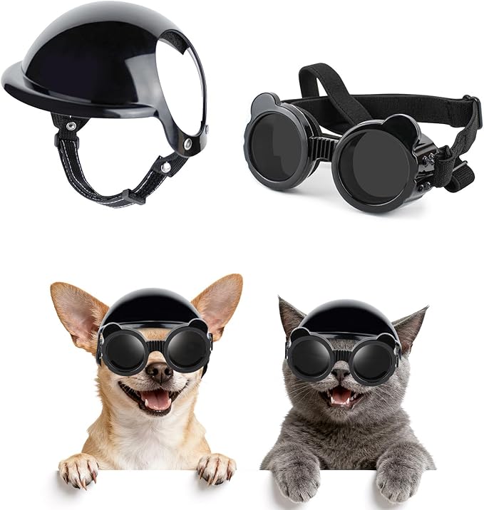 Cat Motorcycle Helmet Dog Wate - Motorcycle Gear For Dogs review and price