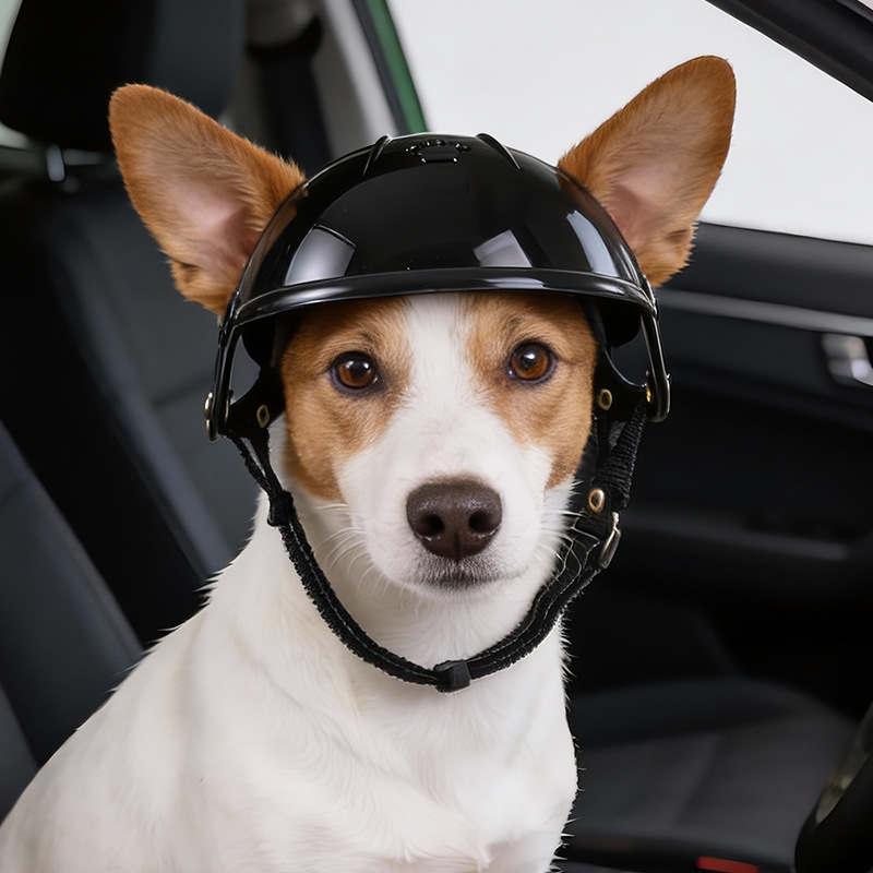 Pet Helmet for Dogs Cats Funny - Motorcycle Gear For Dogs review and price