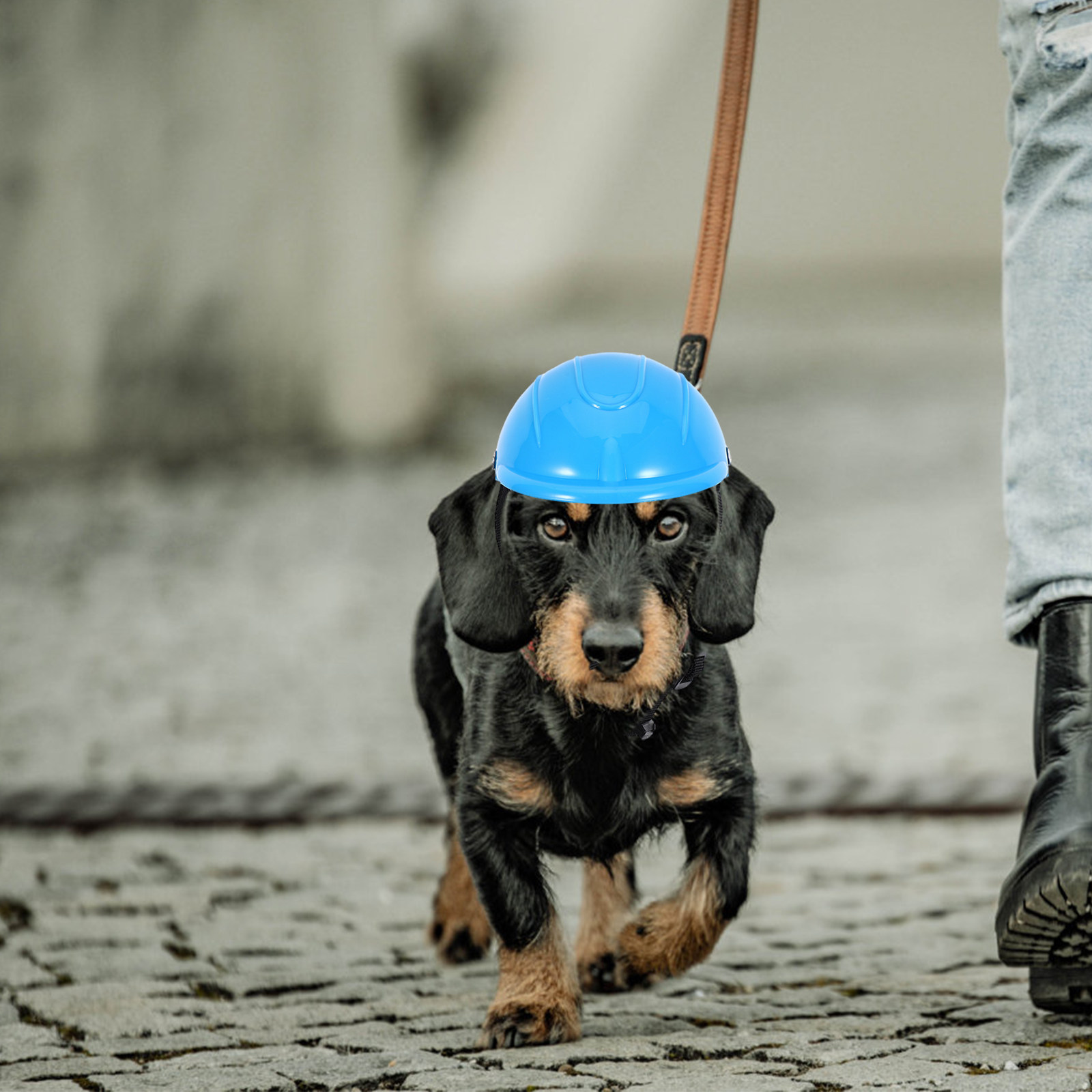 Small Dog Adjustable Pet Safet - Motorcycle Gear For Dogs review and price